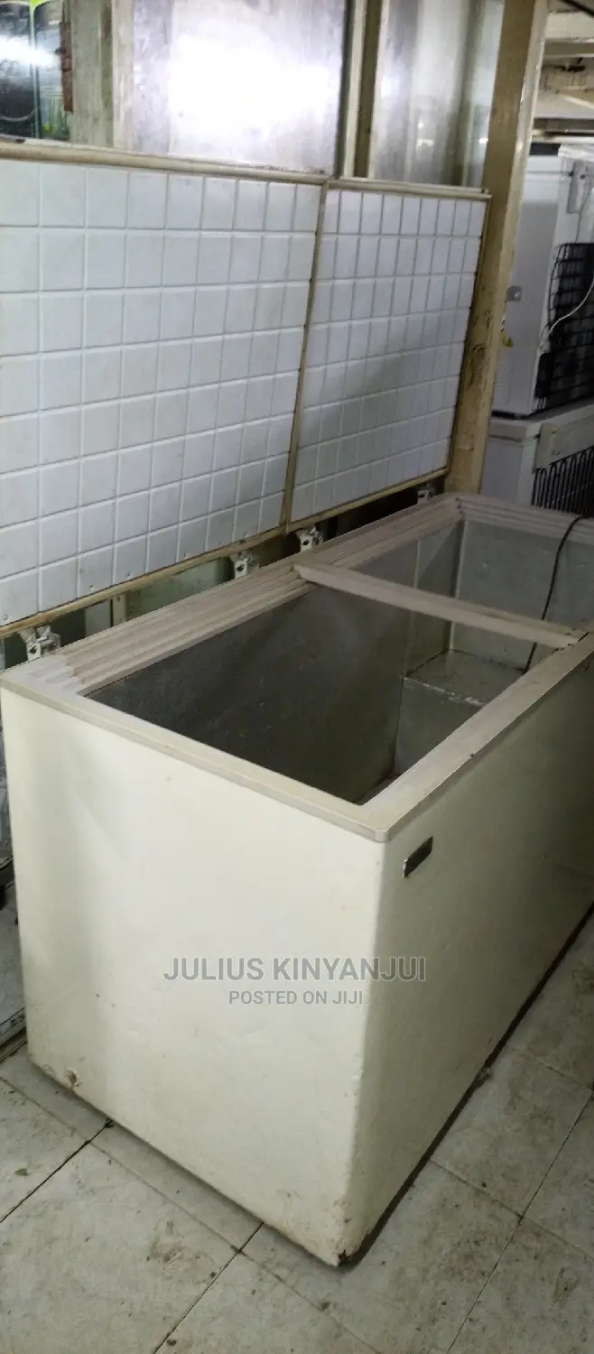 2 Door Freezer 650L