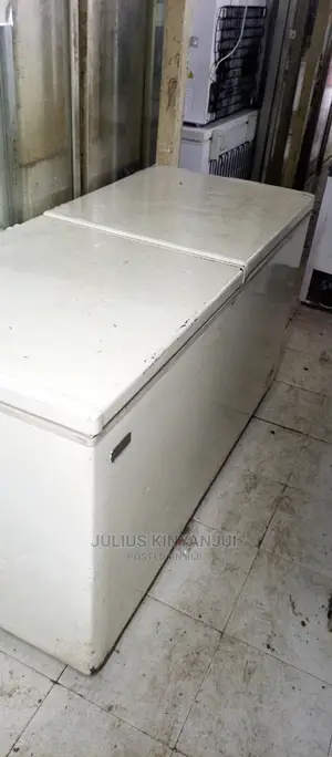 2 Door Freezer 650L