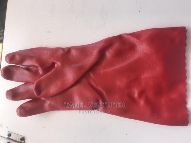 PVC Gloves - main view