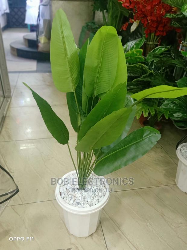 Artificial Banana Plant With Pot and Pebbles