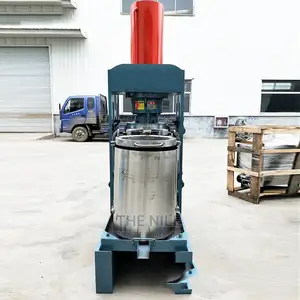 Pine Nuts High Oilseed Hydraulic