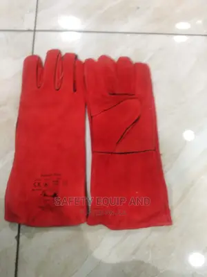 Leather Gloves/Red/Long