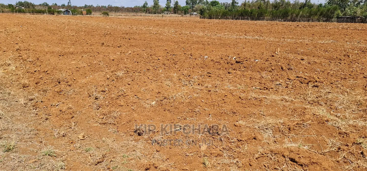 Prime 1 Acre Land Merewet 100 Metres From Highway Eldoret