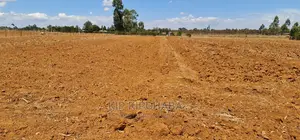 Prime 1 Acre Land Merewet 100 Metres From Highway Eldoret