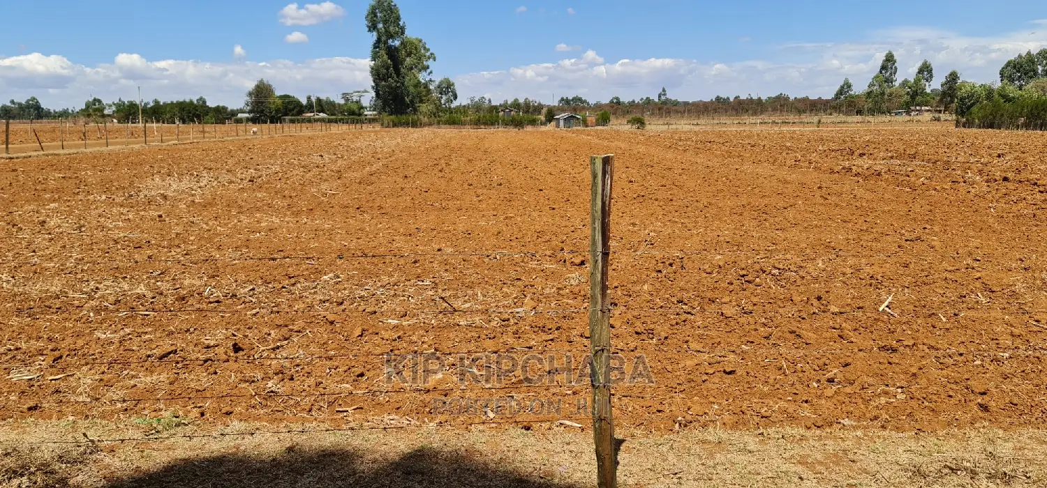 Prime 1 Acre Land Merewet 100 Metres From Highway Eldoret