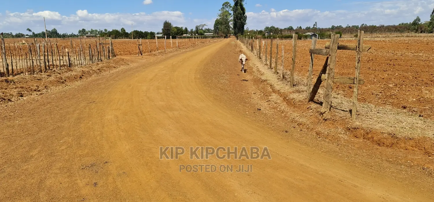 Prime 1 Acre Land Merewet 100 Metres From Highway Eldoret