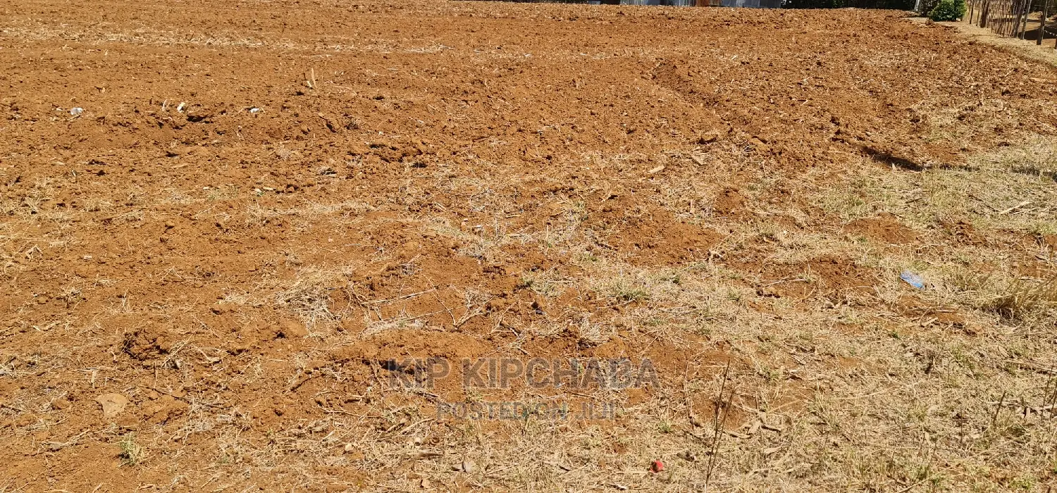 Prime 1 Acre Land Merewet 100 Metres From Highway Eldoret