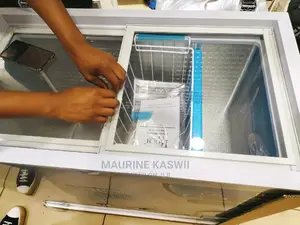 Roch Freezer 250 L