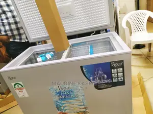 250 Liters Chest Freezer Roch