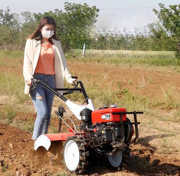 Mini Tiller - main view