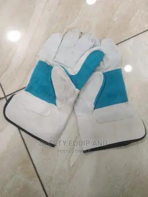 Blue White Leather Glove