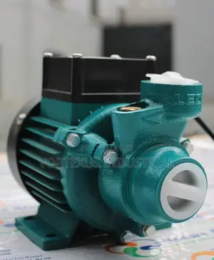 Domestic Water Pump