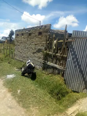 Plot on Sale for Rent at Magumu Flyover Kinangop