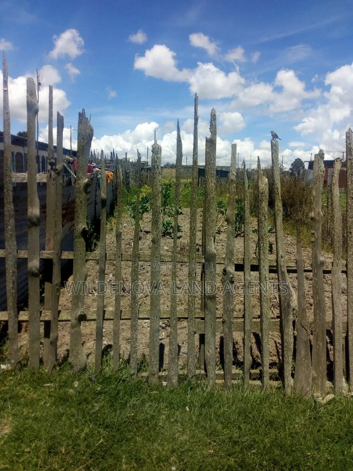 Plot on Sale for Rent at Magumu Flyover Kinangop