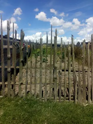 Plot on Sale for Rent at Magumu Flyover Kinangop
