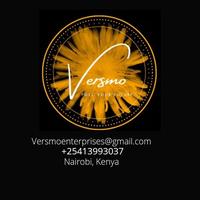 versmo enterprises logo