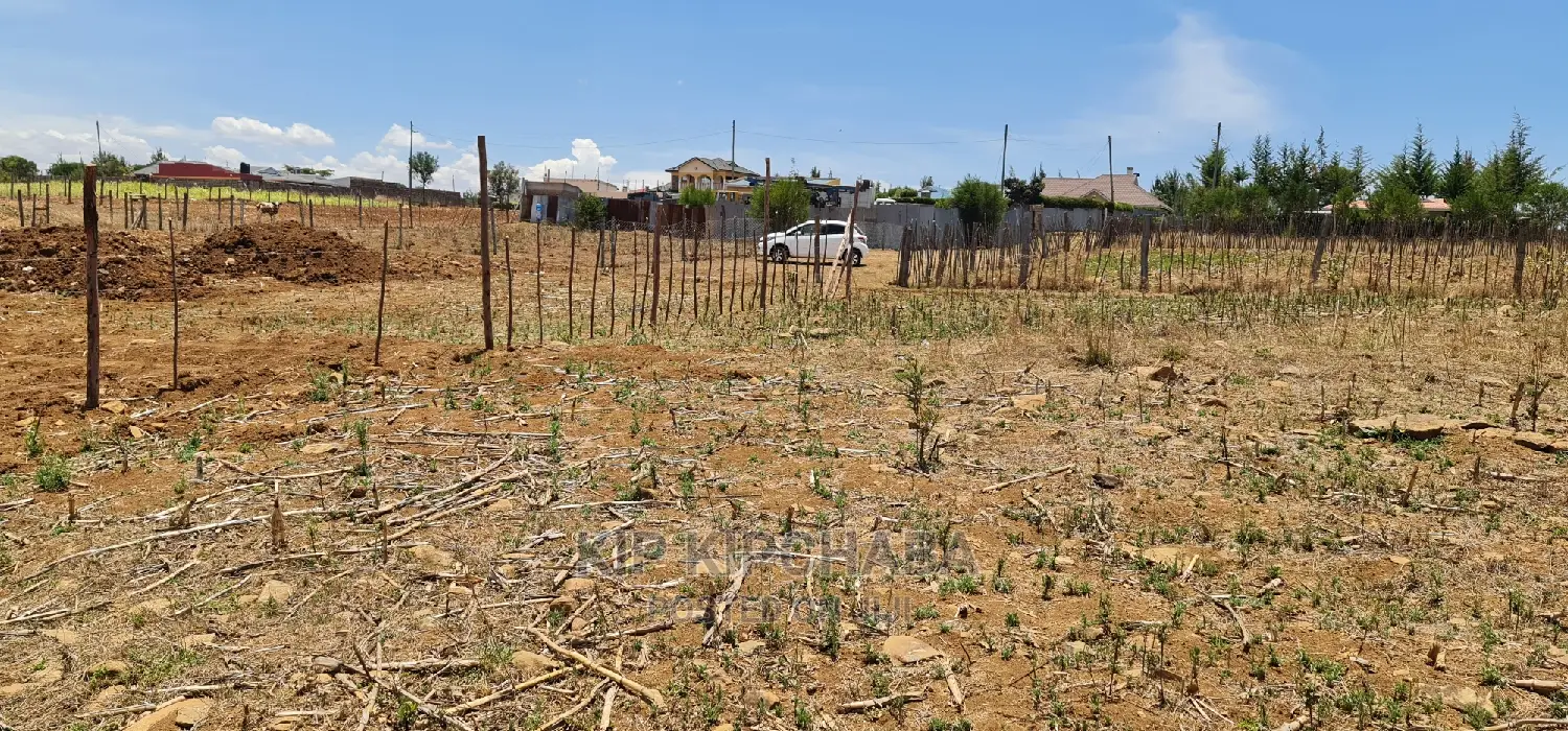 Prime 1⁄4 Plot for Sale in Kipkorgot Eldoret