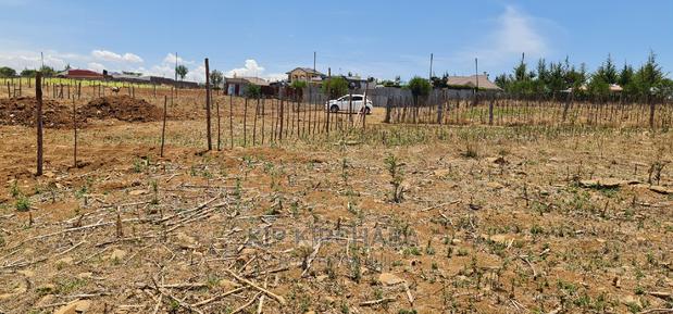 Prime 1⁄4 Plot for Sale in Kipkorgot Eldoret - thumbnail 4