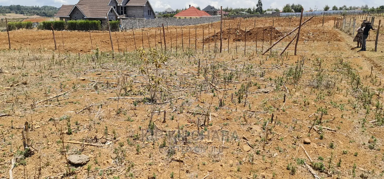 Prime 1⁄4 Plot for Sale in Kipkorgot Eldoret