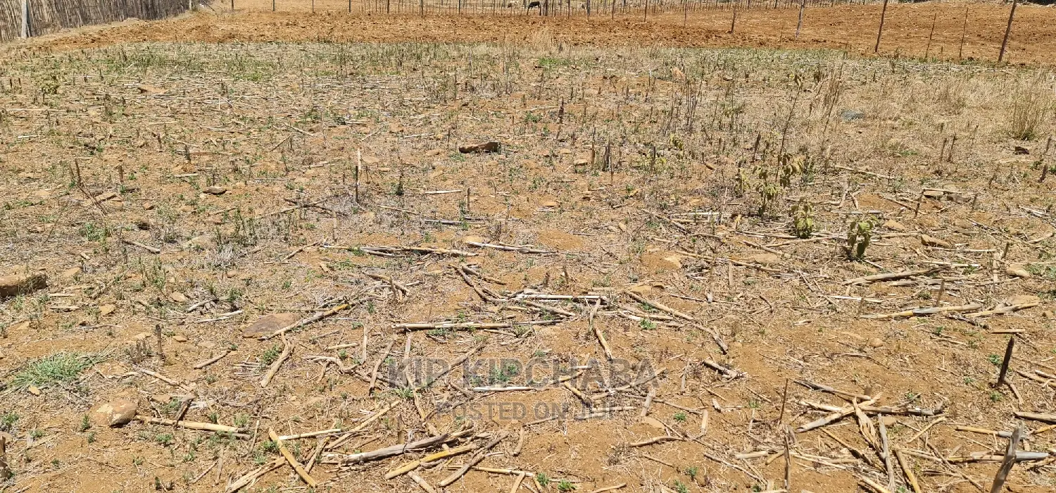 Prime 1⁄4 Plot for Sale in Kipkorgot Eldoret