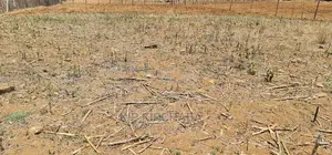 Prime 1⁄4 Plot for Sale in Kipkorgot Eldoret