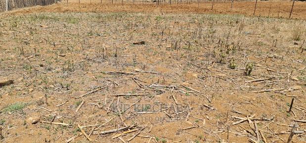 Prime 1⁄4 Plot for Sale in Kipkorgot Eldoret - thumbnail 3