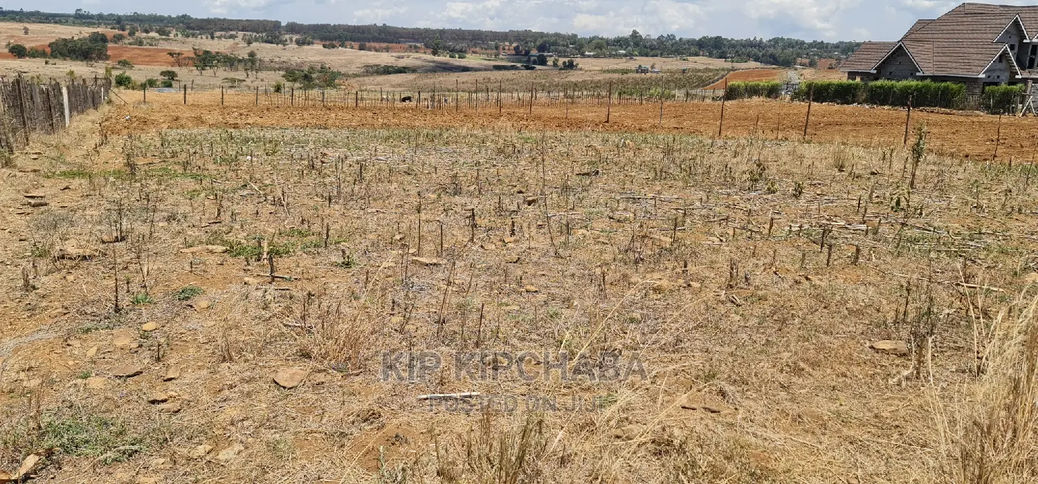 Prime 1⁄4 Plot for Sale in Kipkorgot Eldoret