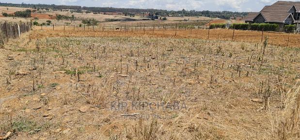 Prime 1⁄4 Plot for Sale in Kipkorgot Eldoret - thumbnail 5