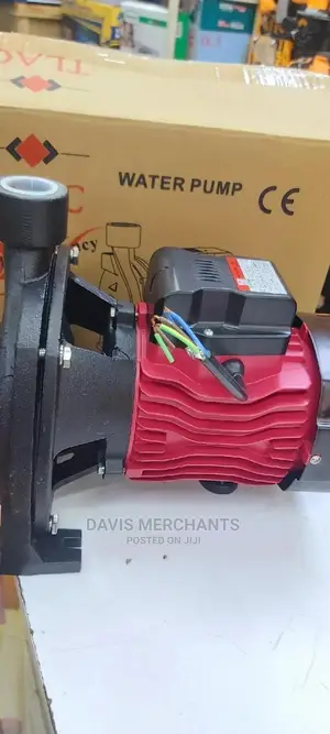Tlac 1 HP Big Head Booster Pump