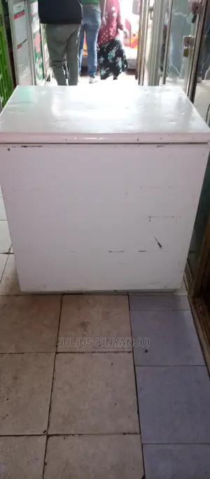 250L Deep Freezer