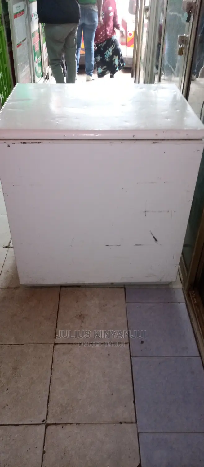 250L Deep Freezer
