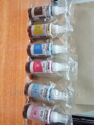 Epson 103/673 Genuine Inks