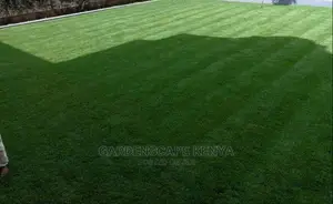 Arabic Grass