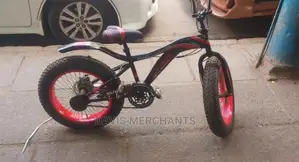Fat Bike Size 20 With Gear,Front Shock