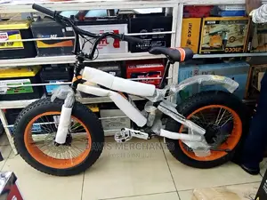 Fat Tyre Bicycle