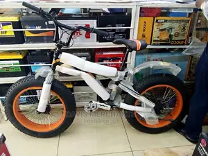 Best Quality Fat Bike Trye