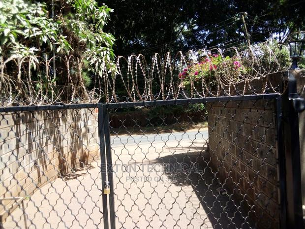 Razor Wire - main view