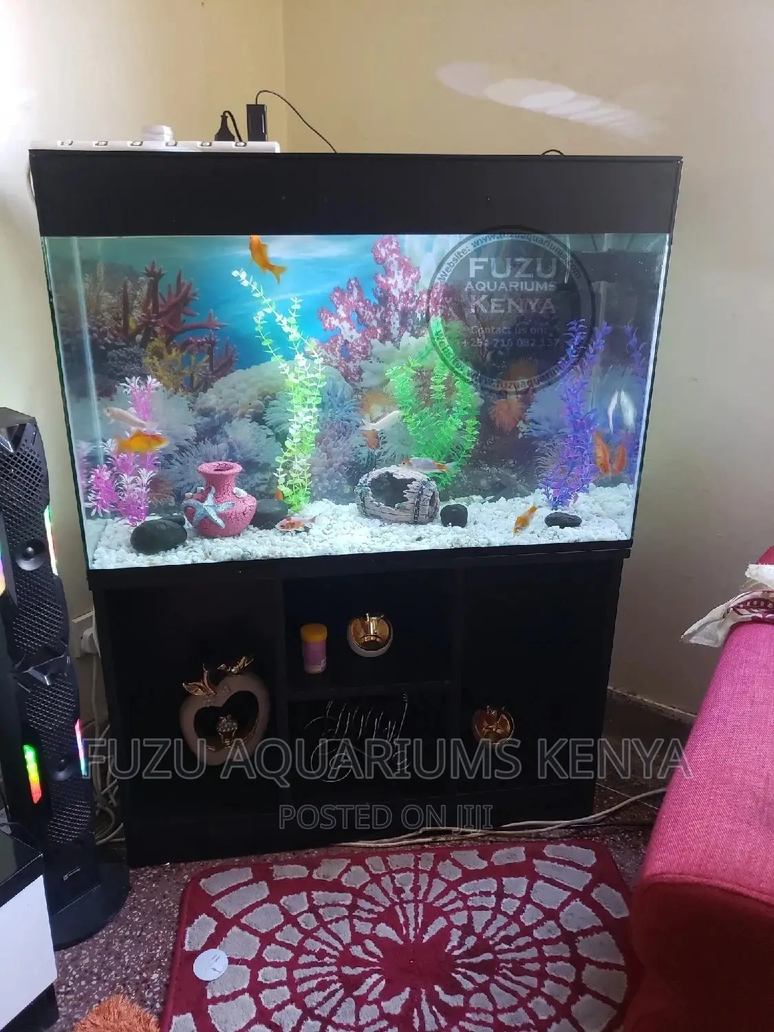 Aquarium of All Sizes Available