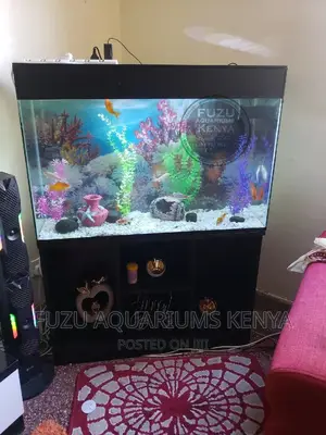 Aquarium of All Sizes Available