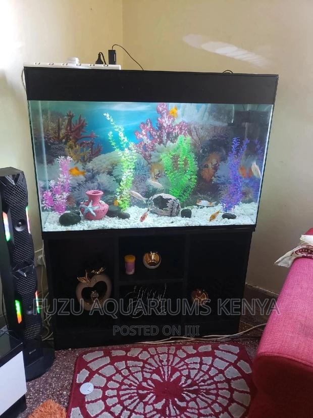 Aquarium of All Sizes Available - thumbnail 3