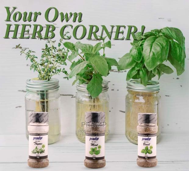 Mint Herbs - main view