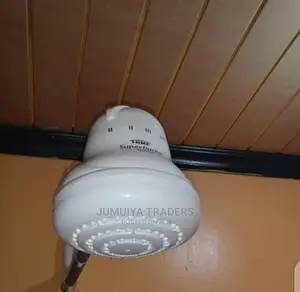 Professional Electric Shower Head Installation