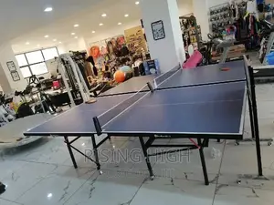 Top Great Quality Table Tennis