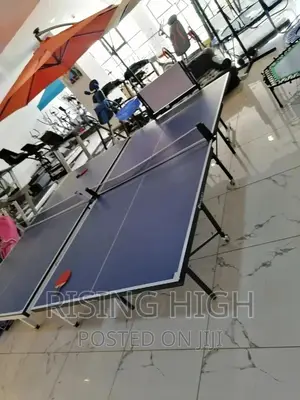 Unique Design Fully Foldable Table Tennis