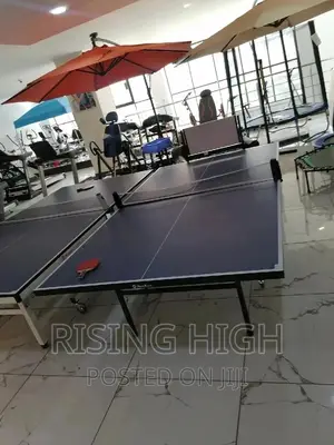 Official Competition Fully Foldable Table Tennis