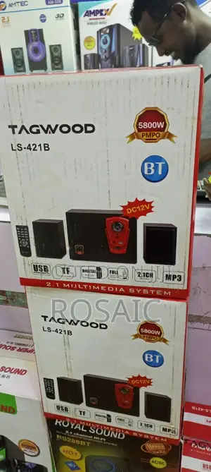 2.1CH Tagwood Subwoofer
