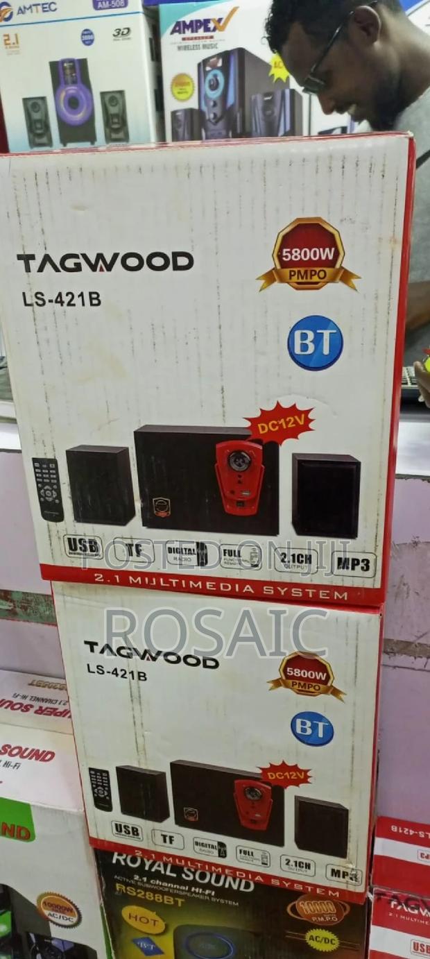 2.1CH Tagwood Subwoofer