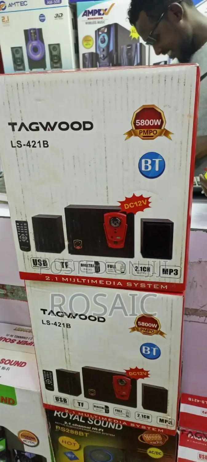 2.1CH Tagwood Subwoofer