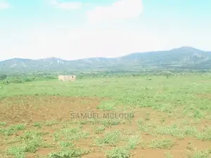 Taveta New Town 50×100