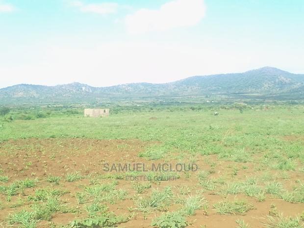 Taveta New Town 50×100